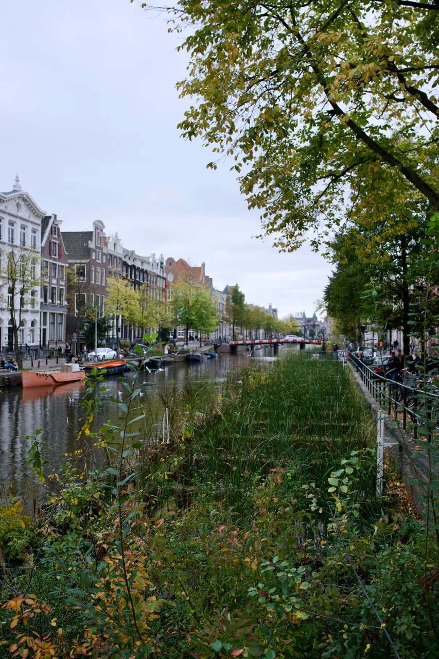 a green garden on pontoons floating in another canal in Amsterdam